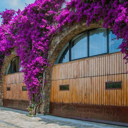 Villa Eliodora - Due Appartamenti Arenzano Eksteriør billede