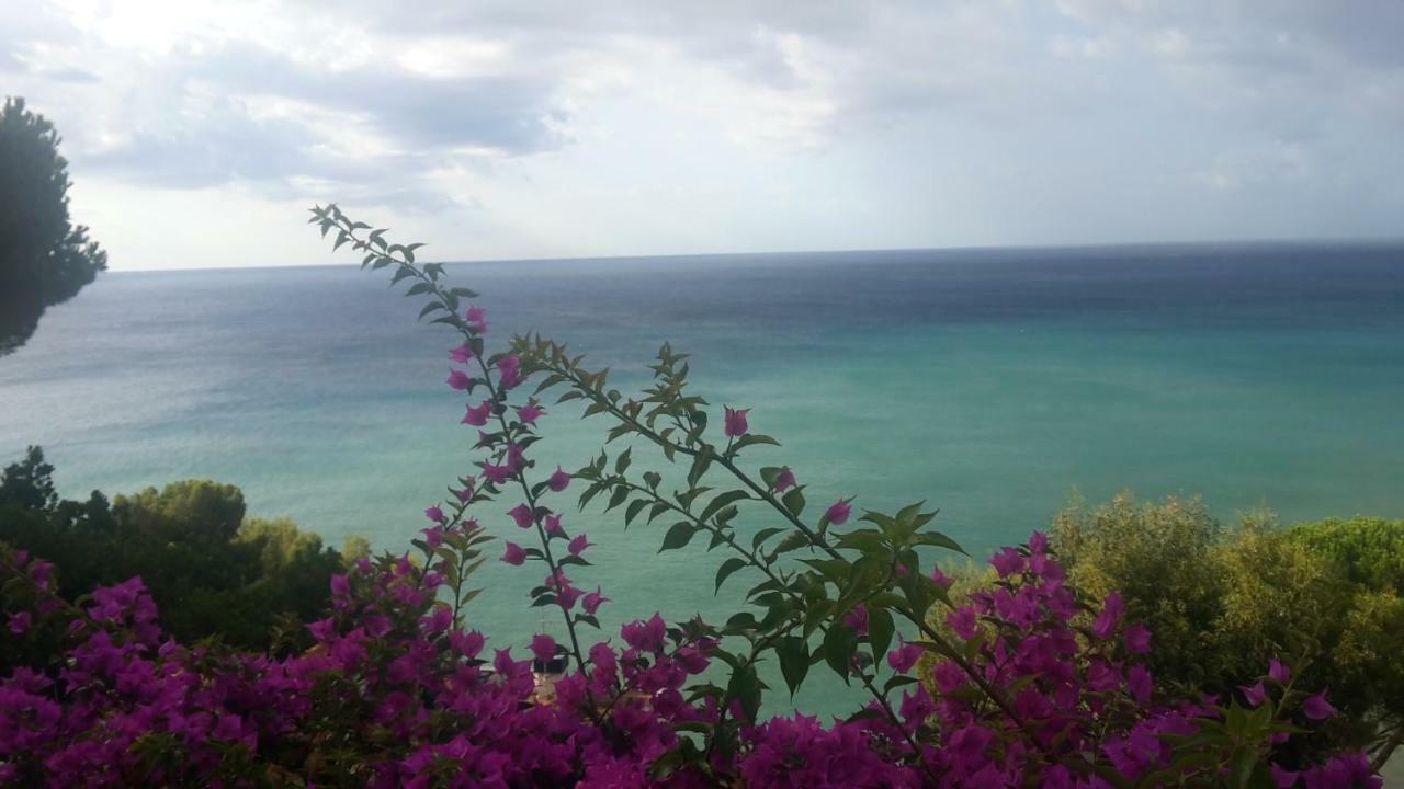 Villa Eliodora - Due Appartamenti Arenzano Eksteriør billede