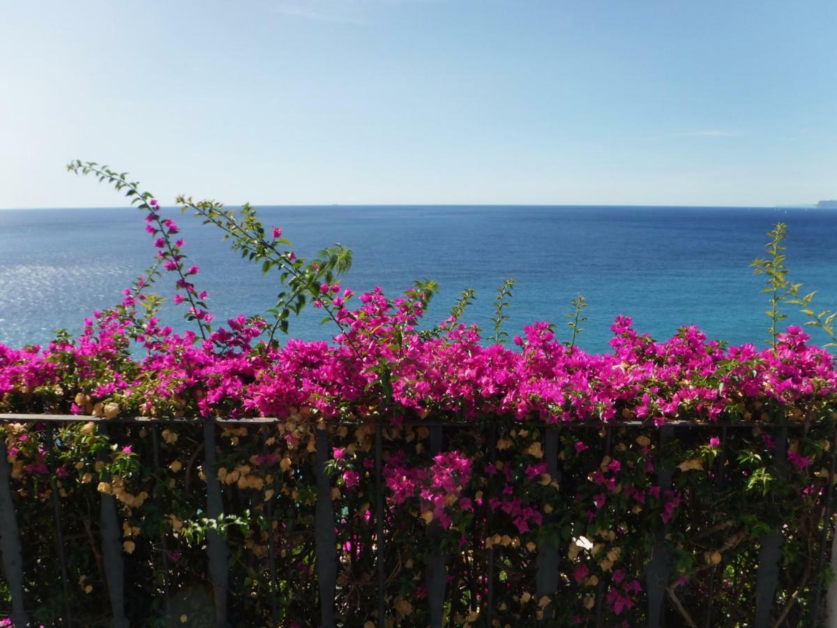 Villa Eliodora - Due Appartamenti Arenzano Eksteriør billede