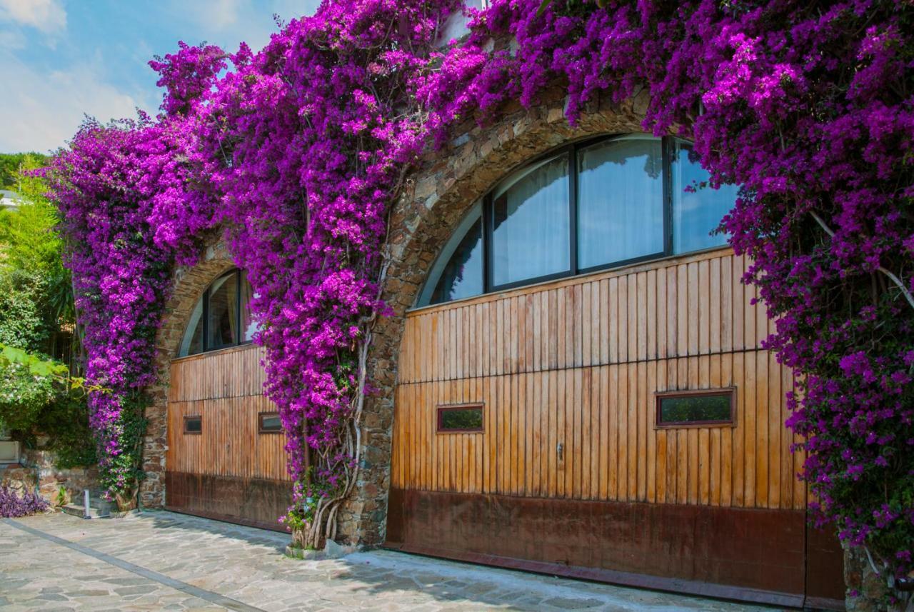 Villa Eliodora - Due Appartamenti Arenzano Eksteriør billede